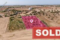 3847 SQM Land in Mazotos (Larnaca) for sale 