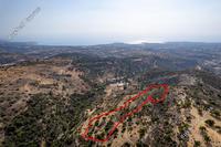 20068 SQM Land · Peyia (Paphos) for sale 