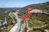 3963 SQM Land · Omodos (Limassol) for sale 