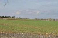 4972 SQM Land in Frenaros (Famagusta) for sale 