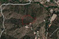 13399 SQM Land in Gourri (Nicosia) for sale 
