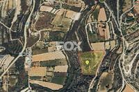 12394 SQM Land in Doros (Limassol) for sale 