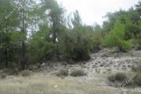 11037 SQM Land in Salamiou (Paphos) for sale 