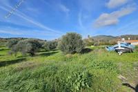2713 SQM Land · Kornos (Larnaca) for sale 