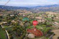 3266 SQM Land · Stroumbi (Paphos) for sale 