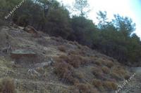 11037 SQM Land · Salamiou (Paphos) for sale 