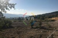 650 SQM Plot · Pera Pedi (Limassol) for sale 
