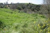 3011 SQM Land · Drimou (Paphos) for sale 