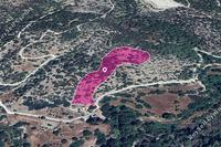 14047 SQM Land · Archimandrita (Paphos) for sale 