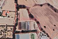 9365 SQM Land in Kalavasos (Larnaca) for sale 
