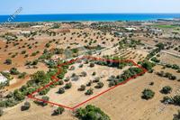 11037 SQM Land · Mazotos (Larnaca) for sale 