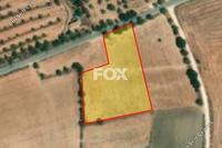 5039 SQM Land · Anarita (Paphos) for sale 
