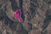 15720 SQM Land in Agios Georgios Kafkallou (Nicosia) for sale 
