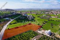 8027 SQM Land · Anglisides (Larnaca) for sale 
