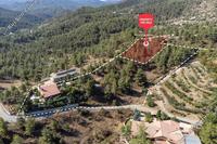 9021 SQM Land in Agios Epifanios Oreinis (Nicosia) for sale 