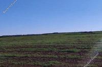 4348 SQM Land · Peristerona Lefkosias (Nicosia) for sale 