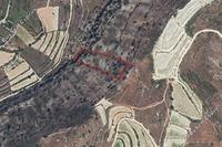 8696 SQM Land in Praitori (Paphos) for sale 