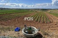 5782 SQM Land in Anarita (Paphos) for sale 
