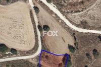 874 SQM Land in Simou (Paphos) for sale 