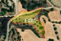 5352 SQM Land in Meladia (Paphos) for sale 