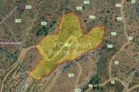 16389 SQM Land · Platanistasa (Nicosia) for sale 