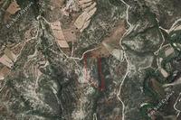 25084 SQM Land in Dora (Limassol) for sale 