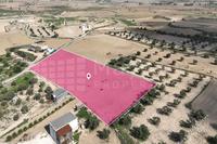 7024 SQM Plot · Athienou (Larnaca) for sale 
