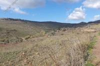 7498 SQM Land · Ineia (Paphos) for sale 