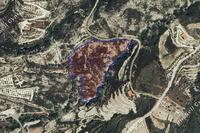 19675 SQM Land in Laneia (Limassol) for sale 