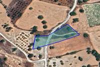 2342 SQM Land in Pano Kivides (Limassol) for sale 