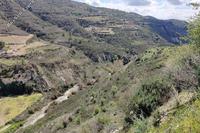 7693 SQM Land · Koilani (Limassol) for sale 