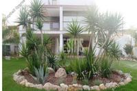 3 Bedroom Detached house in Agrokipia (Nicosia) for sale 