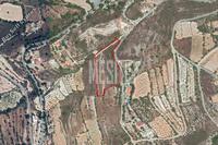 11151 SQM Plot in Laneia (Limassol) for sale 