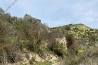 18395 SQM Land in Amargeti (Paphos) for sale 