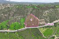 21378 SQM Land in Agios Theodoros Larnacas (Larnaca) for sale 