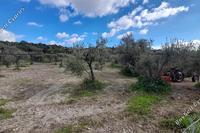 4348 SQM Land in Choirokoitia (Larnaca) for sale 