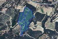 25284 SQM Land · Agios Mamas (Limassol) for sale 