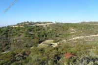 12374 SQM Land in Asgata (Limassol) for sale 