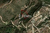 11372 SQM Land in Neo Chorio (Paphos) for sale 
