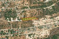 6901 SQM Land in Souni Zanakia (Limassol) for sale 