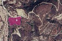 13714 SQM Land · Theletra (Paphos) for sale 