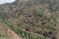 6689 SQM Land · Oikos Marathasas (Nicosia) for sale 