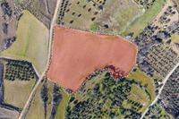 9700 SQM Plot · Kalo Chorio Oreinis (Nicosia) for sale 