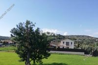 5577 SQM Land in Pentakomo (Limassol) for sale 