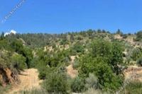 8260 SQM Land · Palaichori Morfou (Nicosia) for sale 