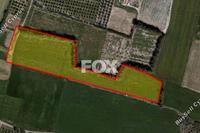 15497 SQM Land in Timi (Paphos) for sale 