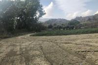28429 SQM Land · Kannaviou (Paphos) for sale 