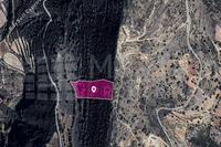 15337 SQM Land in Pachna (Limassol) for sale 