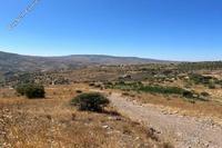 3679 SQM Land in Galataria (Paphos) for sale 