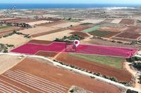 13623 SQM Land in Potamos Liopetriou (Famagusta) for sale 
